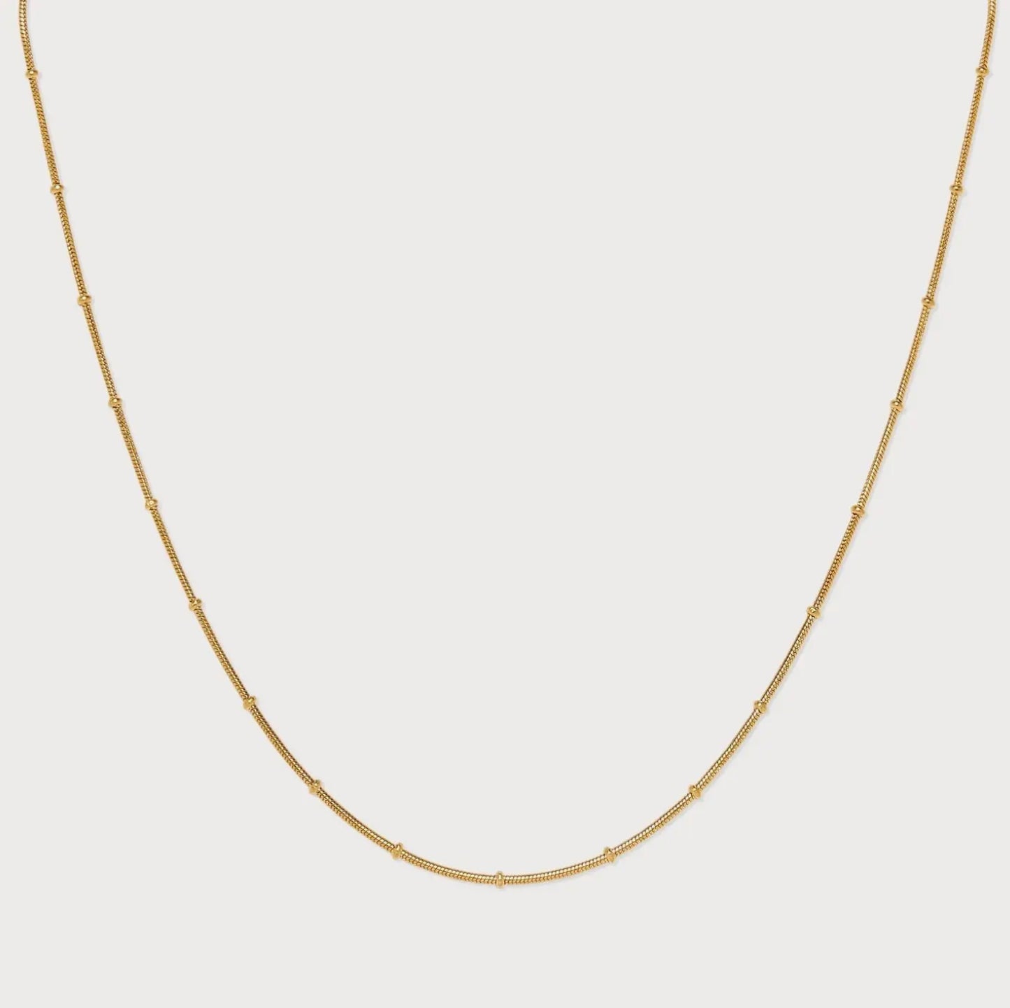 Nula Oyster Waterproof Gold Chain Necklace