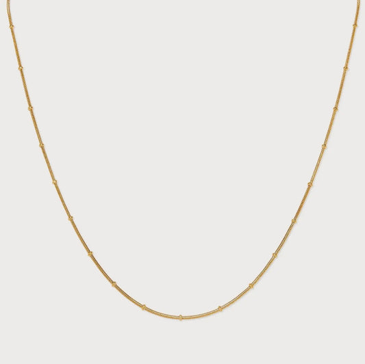 Nula Oyster Waterproof Gold Chain Necklace